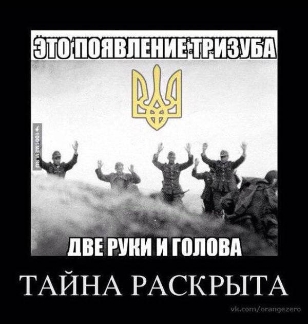 Ребрендинг эмблемы полка "Азов"