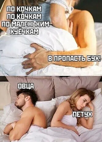 Так себе картинки 10.07.22