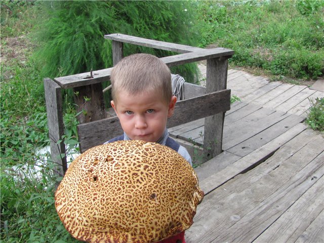 Две недели по Приморью