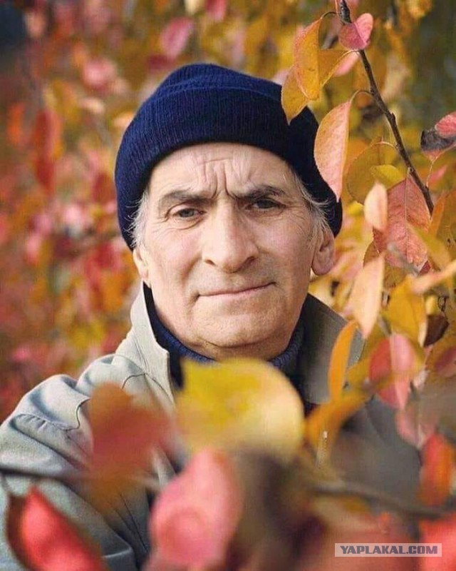 40 лет без Луи де Фюнеса