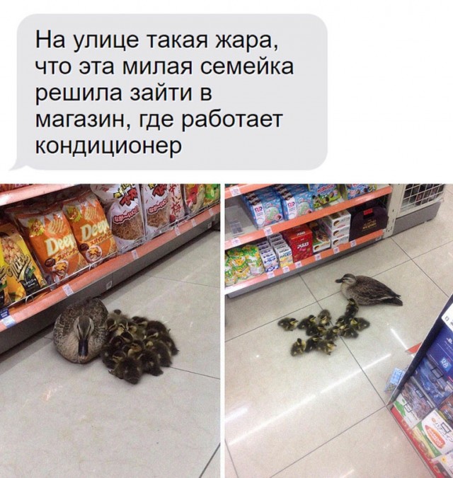 Немного картинок для настроения - 161