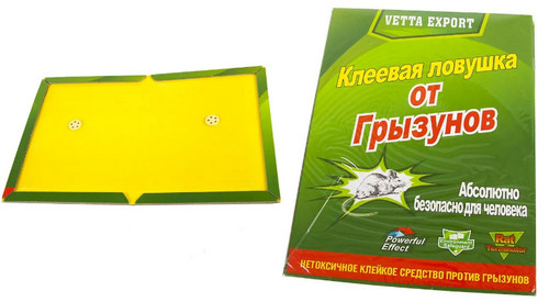 Крысы влипли