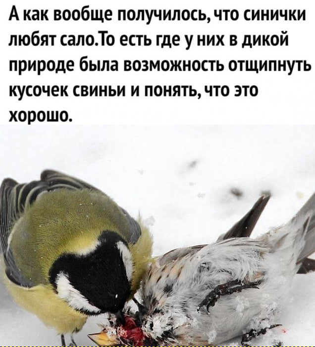 Так себе картинки 16.01.24