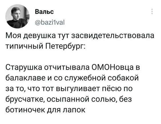 18766637.jpg
