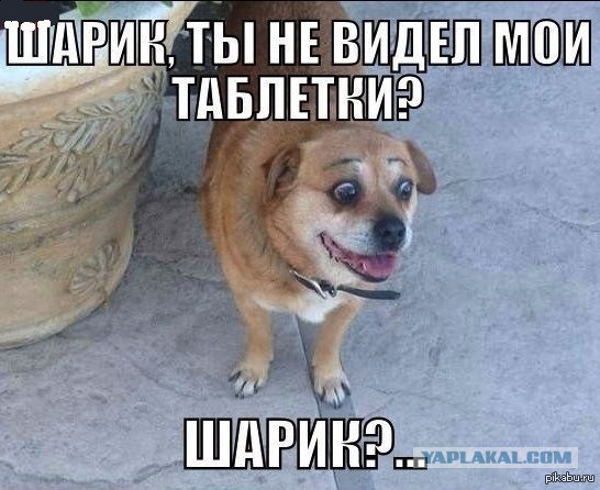 Заряд на утро