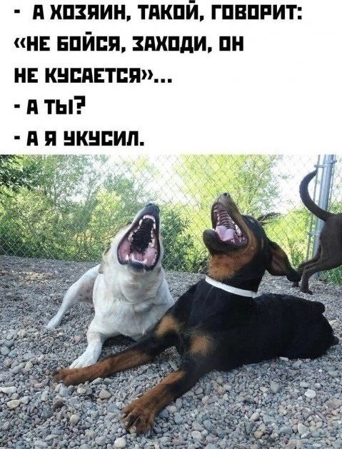 Юмор в картинках и без