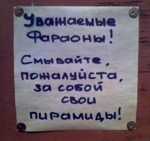 Когда с хозяином на одной волне