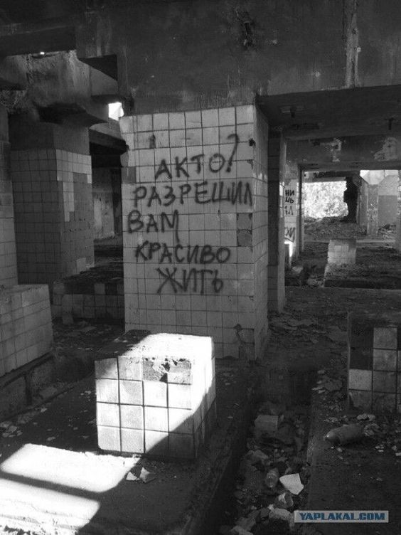 Прикольные и просто красивые картинки 23.08.2024
