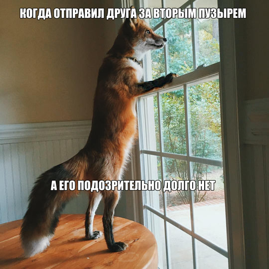 Завалялось тут случайно немного забавных картинок