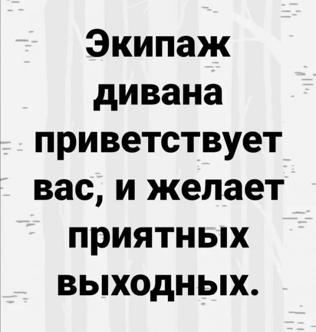 Сегодня отмечается День укутывания в пледы