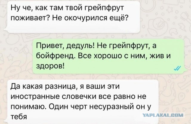 Так себе картинки 20.03.25