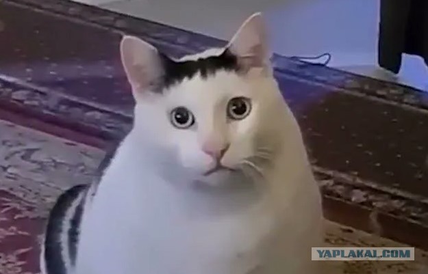 А мне кажется, цифровой рубель "не взлетит"