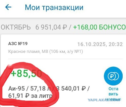 Бензин в США стал дешевле, чем в России