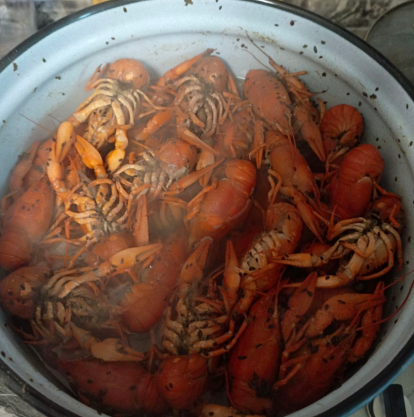 Клуб говорунов (литературный)