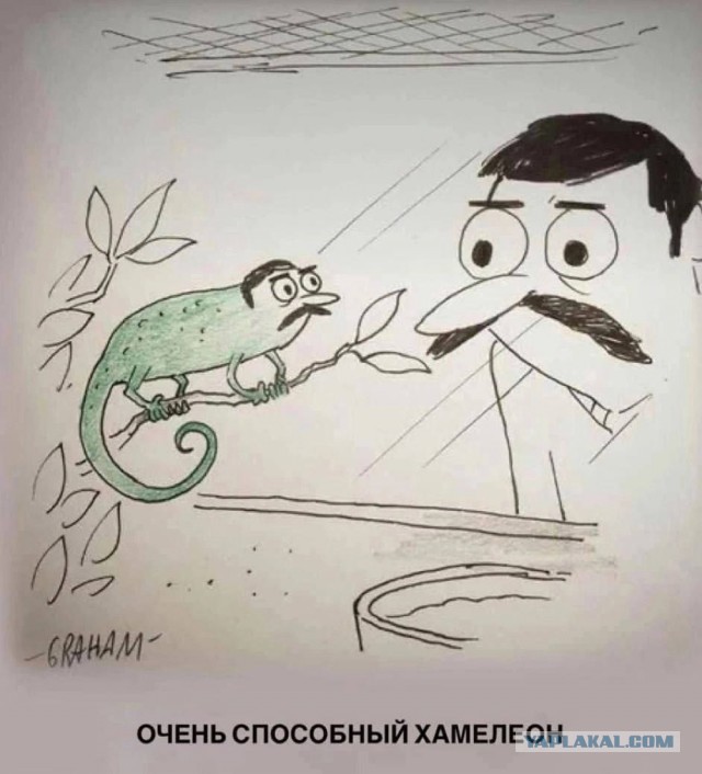 Веселые картинки _)