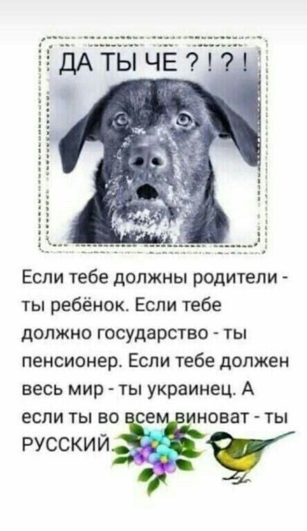 Прикольные и просто красивые картинки 06.01. 2026