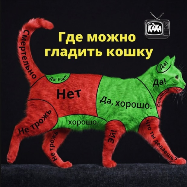 Картинки для деградации 133 (разной степени свежести)