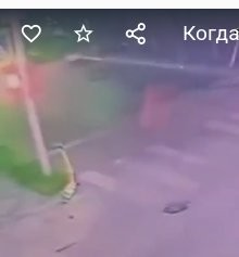 Когда же петушки наездятся