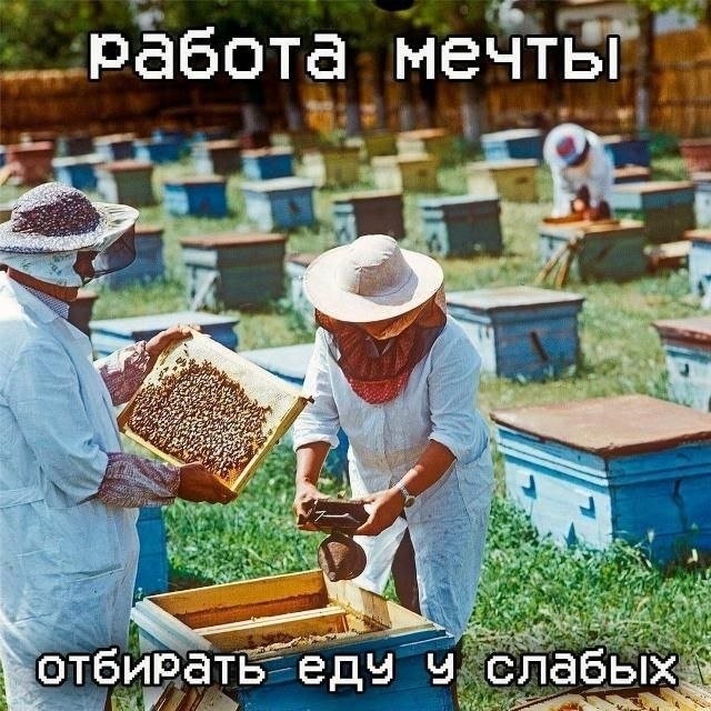 мемчики