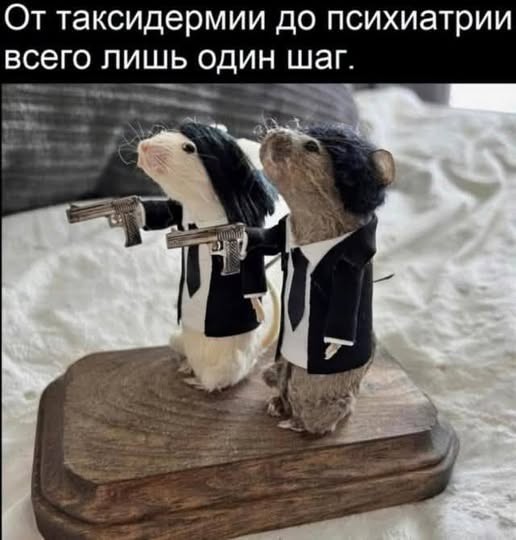 Картинки на среду