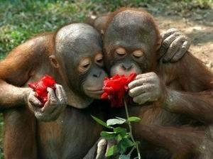 Подборка забавных и курьезных фотографий