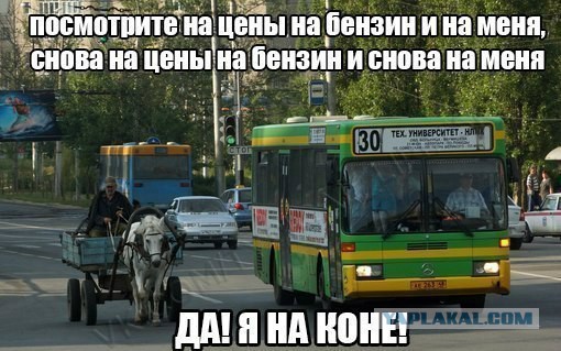 Смешные комментарии из социальных сетей.