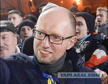 Животные