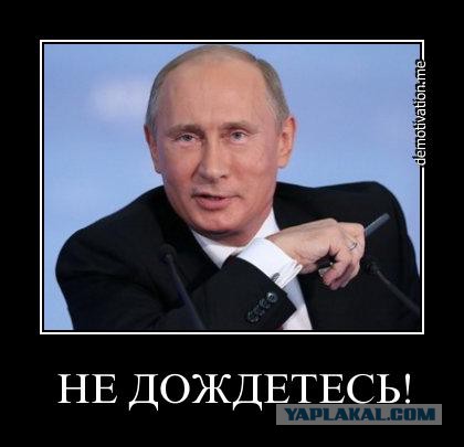 Зачистка на Юге-Востока.