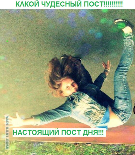 Когда вы плюсуeтe тему в платине