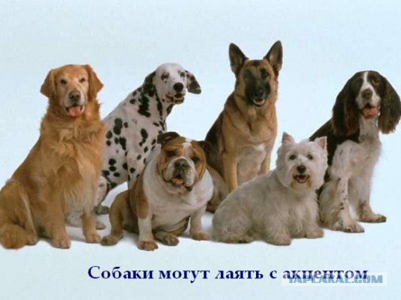 Факты в картинках