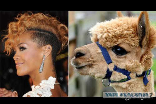 Они нашли себя