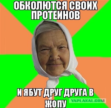 Проект "Трезвые дворы"