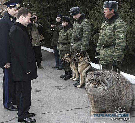 Немного позитива на пятницу.