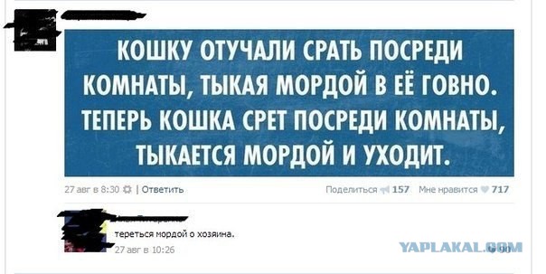 Смешные комментарии из социальных сетей