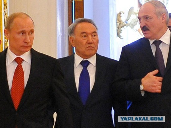 Кто кого боится видно сразу