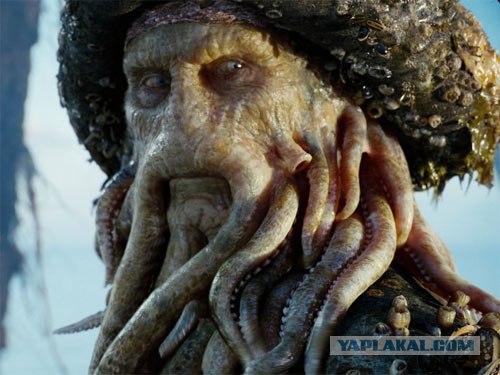 Огромная медуза на пляже