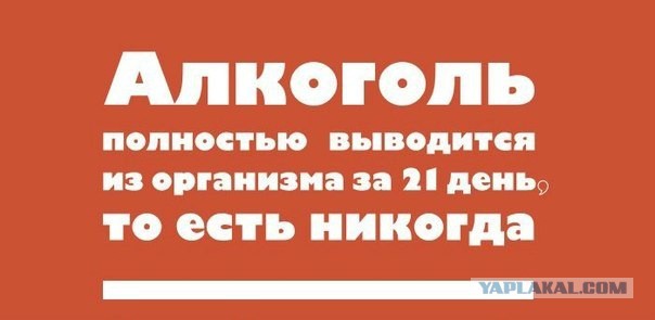 25 невероятных фактов про алкоголь, о которых вы