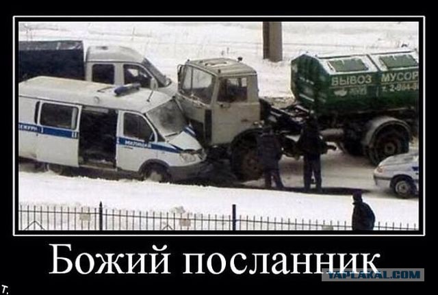 Весёлое из сети