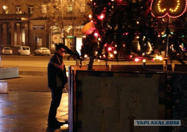 Как встретили 2015....