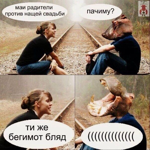 Новый интернет мем