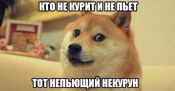 Лента анекдотов на среду 8.04.2015