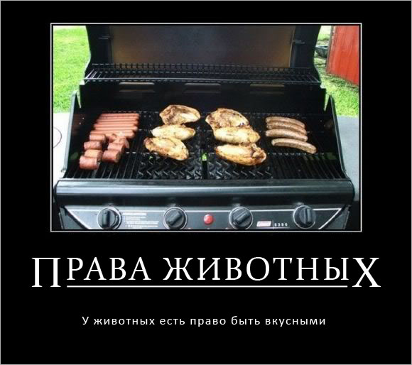 Картинки в черной рамке