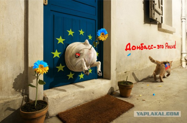 Тем временем в Одессе