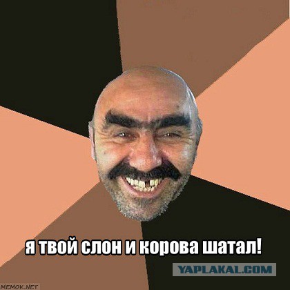 Боевой индус