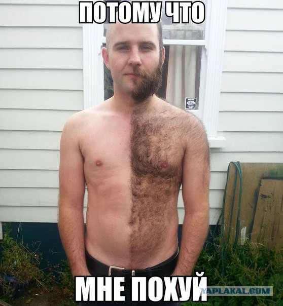Бородачам посвящается.