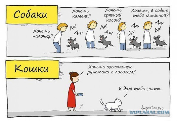 Картинки из инета