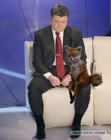 Порошенко и Путин пожали друг другу руки
