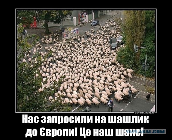 10 политических картинок часть 15