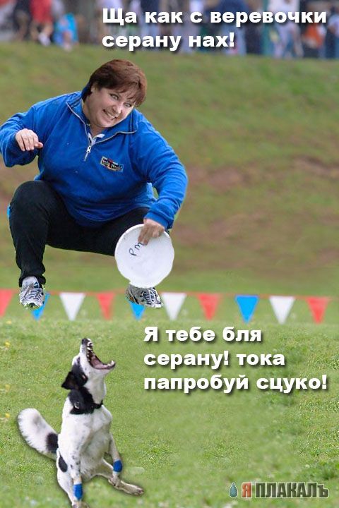 Фотожаба: летающая собака