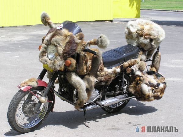 Мото раздел
